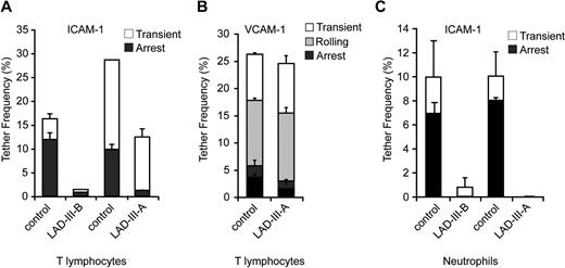 Figure 7. Intrinsic β2 integrin adhesiveness is diminished in both primary T cells and neutrophils derived from distinct LAD-III patients. (A) Spontaneous LFA-1–mediated adhesiveness of control and different LAD-III–derived resting T cells to medium density ICAM-1 (470 CAM sites/μm2). Frequencies of transient and firm attachments measured at a shear stress of 0.5 dyn/cm2 in 2 fields are depicted for the indicated experimental groups. Each LAD-III group was compared with T cells from an age-matched control on an identical ICAM-1-Fc–containing substrate. (B) Spontaneous tethering (transient, rolling, or firm arrest) of control and LAD-III resting T cells (deficient in both Kindlin-3 and CDGI) interacting with high density VCAM-1-Fc (740 CAM sites/μm2) at a shear stress of 0.75 dyn/cm2. The frequency and strength of all tethers were determined in 2 fields of view. All adhesive interactions were eliminated by VLA-4 blocking on T cells (data not shown). (C) Spontaneous β2 integrin-dependent adhesiveness of control and LAD-III–derived neutrophils to medium density ICAM-1 (470 CAM sites/μm2). Each LAD-III group was compared with neutrophils from an age-matched control on an identical ICAM-1–containing substrate. Frequency and strength of all tethers were measured at a shear stress of 0.5 dyn/cm2. All adhesive interactions were eliminated in the presence of the β2 blocking mAb, TS1.18. Results in panels A through C are given as the mean ± range of individual measurements, each a representative of 3 independent experiments.
