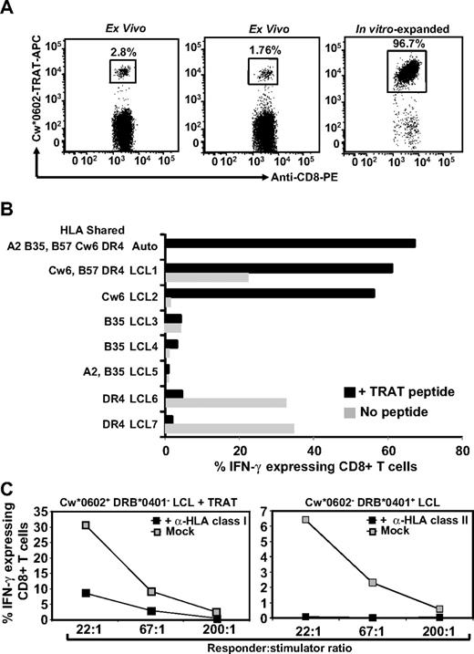 Figure 1. Characterization of HLA Cw*0602-restricted TRATKMQVI-specific T cells. (A) Staining of fresh PBMCs and in vitro expanded T cells with APC-labeled Cw*0602-TRAT tetramer. Representative data from 2 persons (for fresh PBMCs) and one polyclonal T-cell line are shown. These cells were costained with anti-CD3 and anti-CD8 antibodies. (B) HLA restriction analysis of in vitro–expanded TRAT-specific T-cell lines. Autologous LCL and allogeneic LCLs sharing 1 or more HLA class I or class II alleles were used as APCs. These cells were either coated with synthetic TRAT peptide or left uncoated and then exposed to T cells. These T cells were then analyzed for IFN-γ expression by the use of ICS assays. Data presented show the percentage of IFN-γ expressing T cells after exposure to these LCLs. (C) Effect of anti-HLA class I or class II antibody on the T-cell recognition. Peptide sensitized Cw*0602+ and DRB*0401− or unsensitized Cw*0602− and DRB*0401+ LCLs were exposed to TRAT-specific T cells in the presence or absence of anti-HLA class I or anti-HLA class II antibodies. After incubation, these T cells were analyzed for IFN-γ expression using ICS assays.