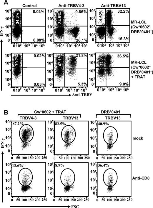 Figure 4. HLA DR4 allotype recognition by TRAT-specific CD8+ T cells is mediated through TRBV13 and is not dependent on CD8 interaction with TcR. (A) TRAT-specific T cells were exposed to peptide-coated and -uncoated HLA Cw*0602+ and DRB*0401+ LCLs and assessed for IFN-γ expression by the use of ICS assays. These T cells were also stained with a panel of anti-TRBV antibodies. Data from 2 of the anti-TRBV antibodies that showed positive staining are shown in this figure. T cells positive for TRBV13 showed IFN-γ expression after exposure to peptide-coated and -uncoated HLA Cw*0602+ and DRB*0401+ LCLs (right panels) and TRBV4-3+ T cells expressed IFN-γ after exposure to peptide-coated HLA Cw*0602+ and DRB*0401+ LCLs only. (B) TRAT-specific T cells were exposed to peptide-coated and -uncoated HLA Cw*0602+ and DRB*0401+ LCLs in the presence or absence of anti-CD8 antibody and then assessed for IFN-γ expression by the use of ICS assays. These T cells were costained with TRBV-specific antibodies to identify TRBV4-3- and TRBV13-positive populations. Data presented in the left and panel show IFN-γ expression by TRAT-specific T cells after incubation with peptide-coated LCLs. The right panels show IFN-γ expression by TRBV13-positive TRAT-specific T cells in the presence or absence of anti-CD8 antibody.
