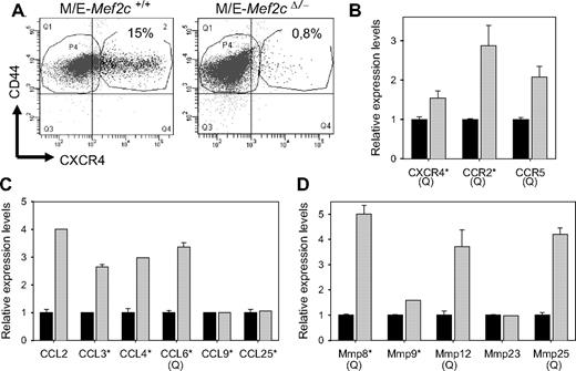 Figure 7. Mef2c expression in MLL/ENL Mef2cΔ/−-transformed cells results in increased expression of several genes implicated in homing and invasive growth. (A) FACS analysis detected increase levels of CXCR4 expression on a subset of M/E cells of the indicated genotype immediately after recloning in methylcellulose cultures, which enriches for clonogenic or engrafting cells. Shown is one representative experiment of 3. (B-D) Microarray analysis was performed on RNA isolated from M/E Mef2cΔ/− cells infected with Mef2cASR/pac or pac vectors and subjected to puromycin selection. The relative expression levels (± SD) of the indicated gene for cultures expressing either Mef2cASR/pac () or pac (■) vectors are indicated. For some genes (marked with a Q), the results shown are that from quantitative RT-PCR, which in all cases confirmed the results obtained from the microarray. Results are shown for only genes that showed signals more than 4-fold above background. (B) Several chemokine receptors are up-regulated in Mef2c+ cultures. *Genes with mean signal intensities greater than 50-fold over background. (C) Several chemokines are highly expressed in MLL/ENL cultures and show up-regulation in Mef2c+ cultures. *Genes with mean signal intensities greater than 100-fold above background. (D) The expression of several MMP genes is up-regulated in Mef2c+ cultures. *Genes with mean signal intensities greater that 20-fold above background.