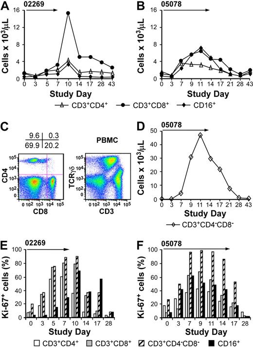 Figure 2. Analysis of lymphocyte subsets after daily administration of IL-15. (A-B) Samples of PBMCs were obtained from macaque 02269 (A) or macaque 05078 (B) before, during, and after the IL-15 treatment. Aliquots of PBMCs were stained with mAbs binding to CD3, CD4, CD8, or CD16, and examined by flow cytometry. The data for CD3+CD4+ (▵), CD3+CD8+ (●), and CD16+ (♦) are shown as the absolute cell number of each subset per microliter of blood at the indicated days. (C) Representative sample of PBMCs obtained from macaque 05078 at the end of the IL-15 treatment. Aliquots of PBMCs were stained with mAbs binding to CD3, CD4, CD8, and a TCRγδ-specific mAb, and examined by flow cytometry. (Left panel) Cells are gated on CD3+ T cells. The values indicate the proportion of each of the T-cell subsets (in percentage). (Right panel) TCRγδ T cells within the PBMC population. (D) The data for CD3+CD4−CD8− cells (◇) are shown as the absolute cell number of each subset per microliter of blood at the indicated days. (E-F) Expression of Ki-67. Aliquots of PBMCs from macaque 02269 (E) or macaque 05078 (F) were obtained before, during, or after the IL-15 treatment and were examined for intracellular expression of Ki-67 within the CD3+CD4+, CD3+CD8+, or CD3+CD4−CD8− T-cell compartment, and within the CD16+ NK cell subset. The fraction of Ki-67–expressing cells in percentage (%) in each of the subsets on the indicated days before, during, and after the IL-15 treatment is shown. indicates the duration of the IL-15 administration.