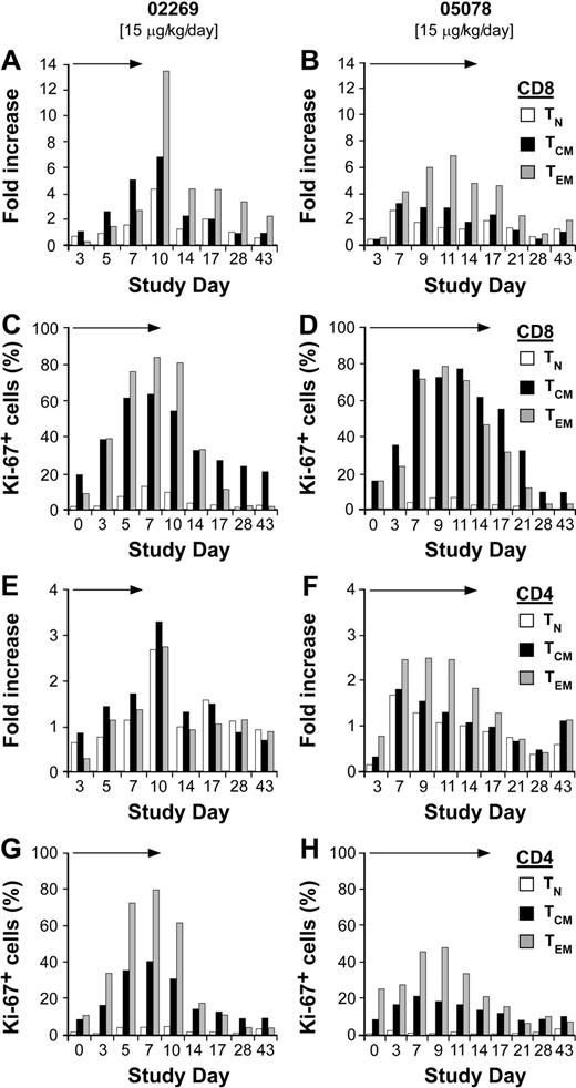 Figure 3. Effect of daily IL-15 on absolute number and Ki-67 staining of CD8+ and CD4+ TN, TCM, and TEM subsets. (A-B) CD8+ TN, TCM, and TEM subsets. Samples of PBMCs from macaque 02269 (A) or macaque 05078 (B) at the indicated days before, during, and after the IL-15 treatment were stained with mAbs that bind to CD3, CD8, or CD95, and CCR7 to distinguish TN, TCM, and TEM subsets, and examined by flow cytometry. The data for each T-cell subset is shown as the fold increase of the absolute numbers per microliter of blood on the indicated day relative to the absolute cell numbers per microliter of the T-cell subset enumerated on the start of the treatment. (C-D) Expression of Ki-67 by CD8+ T-cell subsets. The data show the fraction of cells in percentage (%) within the CD8+ TN, TCM, and TEM subsets that express Ki-67 on the indicated days. (E-F) CD4+ TN, TCM, and TEM subsets. Samples of PBMCs from macaque 02269 (E) or macaque 05078 (F) at the indicated days before, during, and after the IL-15 treatment were stained with mAbs that bind to CD3, CD4, or CD95, and CCR7 to distinguish TN, TCM, and TEM subsets, and examined by flow cytometry. The data for each T-cell subset are shown as the fold increase of the absolute numbers per microliter of blood on the indicated day relative to the absolute cell numbers per microliter of the T-cell subset enumerated on the start of the treatment. (G-H) Expression of Ki-67 by CD4+ T-cell subsets. The data show the fraction of cells in percentage (%) within the CD4+ TN, TCM, and TEM subsets that express Ki-67 on the indicated days. → indicates the duration of the IL-15 treatment.