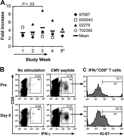 Figure 6. Effect of IL-15 on circulating CMV-specific CD8+ memory T cells. (A) Samples of PBMCs were obtained from CMV-immune macaques 97067, K00043, 02279, and T02392 at the indicated time before, during, or after intermittent IL-15 administration. The samples were stimulated with the CMV peptide, and examined by CFC for the presence of IFN-γ–producing CMV-specific CD8+ T cells. Controls consisted of PBMCs cultured in medium alone to subtract background levels. The absolute number of CMV-specific CD8+ T cells per microliter of peripheral blood was calculated based on the frequency of T cells that produced IFN-γ after CMV-peptide stimulation at each time point and the absolute number of CD8+ T cells. The fold increase of the absolute number of CMV-specific CD8+ T cells per microliter of peripheral blood compared with the start of the treatment is shown. The vertical bar represents the mean. indicates the duration of the IL-15 administration. *K00043 and T02392: no sample was available from week 8. (B-C) Representative data are shown for macaque K00043. PBMCs obtained before and on day 6 of the IL-15 treatment were stimulated with media alone or with CMV peptide, and examined by CFC for expression of IFN-γ and for Ki-67-expression, respectively. (B) The samples are gated on lymphocytes or (C) on peptide-stimulated CMV+ CD8+ IFN-γ+ T cells.