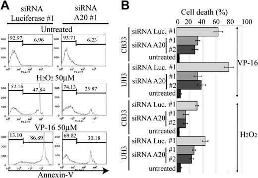 Figure 6. Resistance to apoptosis in EB-LCL with silencing for A20. The cell lines shown here were treated with H2O2 or etoposide (VP-16) and then subjected to a FACS assay 24 hours later to determine the proportion of annexin V–positive cells. The effects of A20 knockdown on induction of apoptosis by H2O2 and VP-16 were examined in triplicate. (A) Representative histograms. (B) The data of triplicate experiments are presented as mean ± SD.