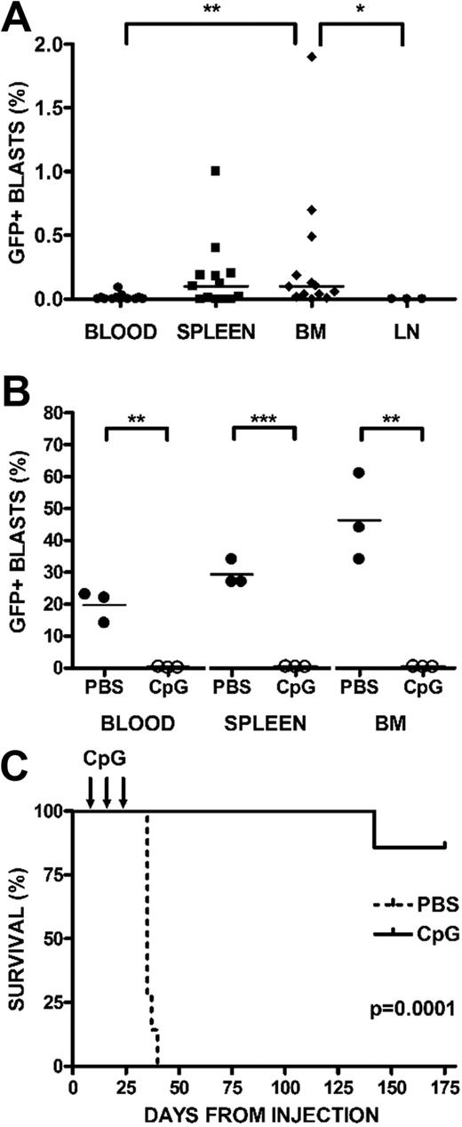 Figure 3. CpG ODN stimulate syngeneic antileukemia activity in vivo. BALB/cJ mice were injected with syngeneic, GFP+ ALL via tail vein. On day 7 after injection, mice were randomized to receive either CpG ODN or PBS via intraperitoneal injection every 4 days for 3 doses. A subset of mice was killed at day 7, and blood, bone marrow (BM), spleens, and lymph nodes (LN) were harvested, stained for B220, and analyzed by FACS. (A) Day 7 engraftment. Peripheral blood, spleen, BM, and LN are depicted at day 7, when treatment begins. Percentages of GFP+/B220+ cells are shown, with significant differences noted only between BM and blood (**P < .01) and BM and LN (*P < .05). (B) Day 28 engraftment. Percentages of GFP+/B220+ cells in peripheral blood, BM, and spleen after treatment with PBS or CpG ODN in mice killed at day 28. CpG ODN treatment conferred significant protection in blood P < .003, marrow P < .005, and spleen (P < .001). (C) Survival after CpG treatment. The remaining mice were followed with weekly peripheral blood assessments, analyzed by FACS for B220 and GFP, and killed when peripheral blasts were more than 70% or with signs of clinical illness. Kaplan-Meier analysis of mice receiving CpG ODN versus PBS controls followed for 6 months after treatment is depicted (P < .001).