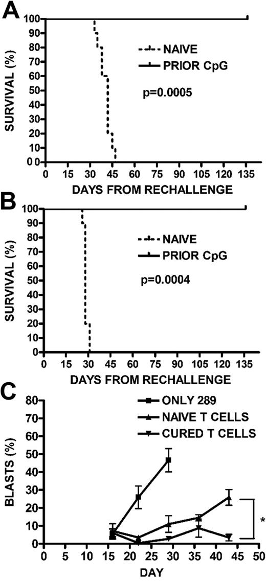 Figure 5. Generation of protective memory responses. (A) Survival after rechallenge with 289-GFP ALL. Previously, CpG ODN-treated mice in remission were rechallenged with 105 GFP+ ALL cells, along with a leukemia-naive cohort. The survival curve for mice given GFP+ 289 is shown (P < .001). (B) Survival after rechallenge with wild-type t309 ALL. To demonstrate that the observed protection from ALL was not limited to a single cell line or to the presence of GFP as an antigen, we repeated the rechallenge experiment in mice who had been cured of wild-type t309, as in panel A. The survival curve for mice followed for 4 months is shown (P < .001). (C) Adoptive transfer of T cells into NSG mice. BALB/cJ mice were given CpG ODN 100 μg every 4 days for 3 doses, as in panels A and B, beginning on day 7 after injection with 106 GFP+ ALL cells. A group of nonleukemic mice were also injected with CpG ODN. One month after injection, mice in both groups were killed, and T cells were magnetically selected from their splenocytes to be injected into NSG mice along with 105 GFP+ ALL cells. Mice were followed for development of peripheral blasts by FACS, with mice receiving ALL-targeted T cells showing lower percentages than stimulated but naive T cells (*P < .02).