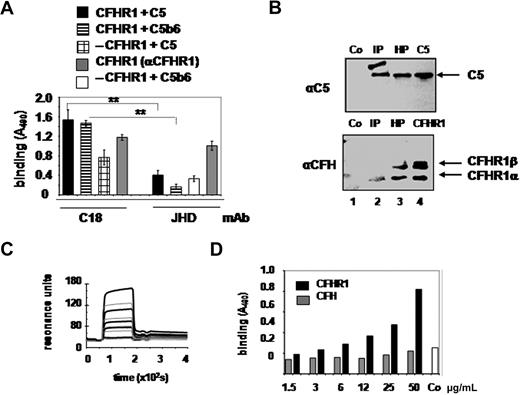 Figure 4. CFHR1 but not CFH binds to C5. (A) CFHR1 was captured to the surface of a microtiter plate using the C-terminal (C18) or the N-terminal (JHD10) binding mAbs. C5 or C5b6 was applied with the fluid phase, and bound proteins were detected with mAb to C5. Attachment of CFHR1 to C18 or JHD10 was verified with polyclonal CFHR1 antiserum (columns 4 and 8). In addition, binding of C5b6 to the mAb JHD10 in the absence of CFHR1 was assayed and was at background levels (column 7). Data represent mean values ± SD of 3 separate experiments. **P < .001 versus binding of C5 or C5b6 to C18-mediated CFHR1 immobilization. (B) Formation of native CFHR1/C5 complexes in plasma was identified by immunoprecipitation. C5 antibodies were used to capture C5 complexed with CFHR1 from human plasma as shown by Western blot using polyclonal CFH antibodies (bottom panel, lane 2, arrows) and monoclonal C5 antibodies (top panel, lane 2, arrow). CFHR1 in human plasma (HP, bottom panel, lane 3) or plasma-purified CFHR1 (bottom panel, lane 4) shows similar mobilities. In addition, C5 in human plasma (top panel, lane 3) or purified C5 (top panel, lane 4) shows similar mobilities compared with the immunoprecipitated C5 protein (top panel, lane 2). Eluates derived from noncoated columns incubated with HP contain neither CFHR1 (bottom panel, lane 1) nor C5 (top panel, lane 1). The extra band in the top panel, lane 1, is considered unspecific. (C) Binding of C5 to immobilized CFHR1. CFHR1 (black line) or CFH/SCR10-13 (gray line) was immobilized to the surface of a sensor chip and C5 (50, 150, 200, 400 nM) was added in the fluid phase. (D) Binding of C5 to immobilized CFHR1 and CFH. CFHR1 (10 μg/mL) and CFH (30 μg/mL) were immobilized to a microtiter plate and incubated with increasing concentrations of C5 (1.5-50 μg/mL). Binding of C5 was detected with monoclonal C5 antibodies. Co represents reactivity of the mAb C5 to immobilized CFHR1 in the absence of C5. Representative data from 2 independent experiments are shown.