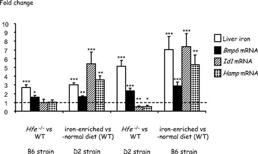 Figure 1. Effect of Hfe deficiency or secondary iron overload on hepatic iron concentrations and Bmp6, Id1, and Hamp gene expression in 7-week-old B6 and D2 mice. Fold change in nonheme tissue iron content and expression ratio (and SE) of Bmp6, Id1, and Hamp transcripts normalized to the reference gene mRNA (Hprt) in Hfe-deficient mice relative to wild-type controls and in wild-type mice fed an iron-rich diet for 3 weeks relative to wild-type mice fed a standard rodent diet (5-10 mice per group). Statistical significance was determined using randomization tests. *P < .05; **P < .01; ***P < .001. Data are provided for 2 genetic backgrounds, C57BL/6 (B6) and DBA/2 (D2). At 7 weeks of age, wild-type mice of the 2 backgrounds have similar levels of Bmp6, Id1, and Hamp transcripts (supplemental Figure 1, available on the Blood website; see the Supplemental Materials link at the top of the online article). However, Hfe-deficient mice of the D2 background have significantly more Bmp6 mRNA than Hfe-deficient mice of the B6 background (P = .001). Wild-type B6 mice fed the iron-rich diet for 3 weeks also have significantly more Bmp6 mRNA than wild-type D2 mice fed the same diet (P = .001). Absolute values (instead of fold changes) corresponding to the same data are provided in supplemental Figure 2.