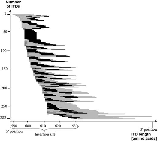 Figure 2. This figure shows the correlation between ITD insertion site, length, as well as the relative position of the Y591-Y599 motif of the 282 ITDs, sorted by insertion site. The light gray color symbolizes the duplicated fragment and the black color demonstrates the involvement of the amino acid motif Y591-Y599. The presence of additional material is depicted in darker gray. The majority of the 282 ITDs included at least a part of the specific amino acid stretch Y591-599. ITD indicates internal tandem duplication.