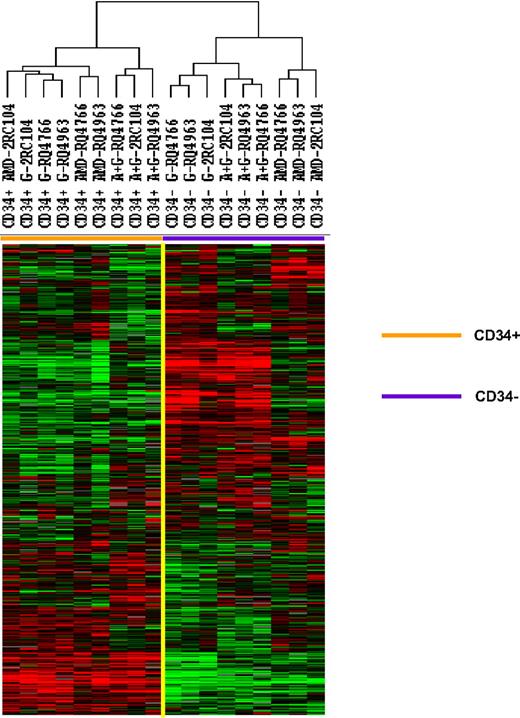 Figure 1. Comparison of gene expression profiles of CD34+ cells mobilized with plerixafor, G-CSF, and plerixafor plus G-CSF with PBMCs. CD34+ cells were isolated by immunomagnetic selection from plerixafor, G-CSF, and plerixafor plus G-CSF–mobilized PBSCs collected by apheresis. The CD34+ cells and unabsorbed PBMCs were analyzed by gene expression profiling using a cDNA microarray with more than 17 000 genes. The 5378 genes that were expressed in at least 80% of the samples and were increased at least 2-fold in one sample were analyzed by hierarchical cluster of Eisen. G indicates G-CSF; A, plerixafor; A+G, plerixafor plus G-CSF.