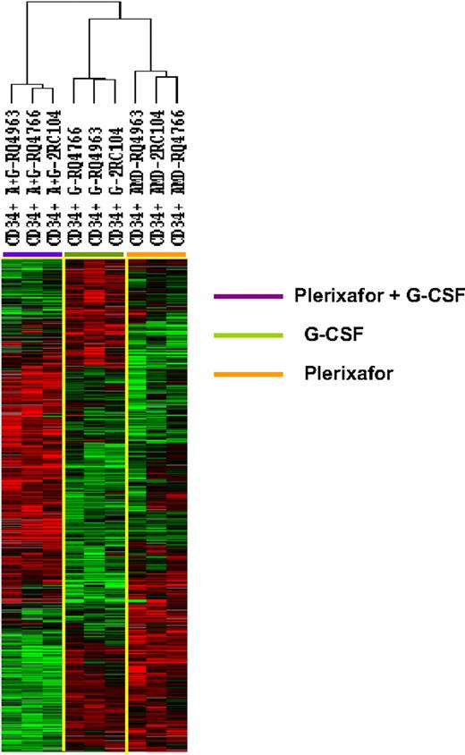 Figure 2. Unsupervised hierarchical clustering analysis of gene differentially expressed among CD34+ cells mobilized plerixafor, G-CSF, and plerixafor plus G-CSF in 3 rhesus macaques. The CD34+ cells were analyzed by gene expression profiling using a cDNA microarray with more than 17 000 genes. Among 5378 genes that were expressed in at least 80% of the samples and were increased at least 2-fold, 1097 were found to be differentially expressed in 3 clusters of CD34+ cells (F test, P ≤ .005). The differentially expressed genes were analyzed by hierarchical cluster of Eisen. G indicates G-CSF; A, plerixafor; A+G, plerixafor plus G-CSF.