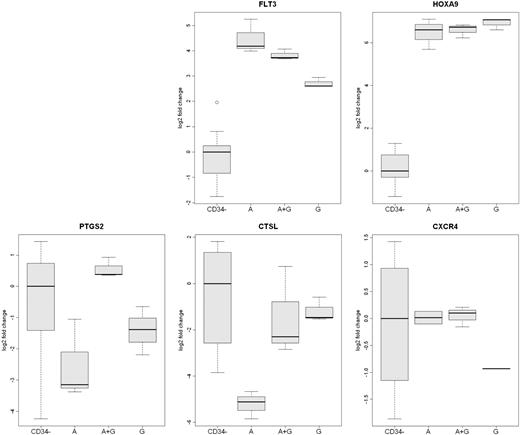 Figure 3. Analysis of differentially expressed mobilized CD34+ cells genes by qRT-PCR. The expression of 5 genes (FLT3, HOXA9, PTGS2, CXCR4, and CTSL) in CD34+ cells from the 3 rhesus macaque mobilized by plerixafor (A), G-CSF (G), or plerixafor plus G-CSF (A+G) were analyzed by qRT-PCR. The expression of CXCR4 was greater in plerixafor and plerixafor plus G-CSF–mobilized CD34+ cells. The expression of CTSL was greater on G-CSF– and G-CSF plus plerixafor-mobilized CD34+ cells. FLT3 expression was greatest on plerixafor-mobilized CD34+ cells, and the expression of PTGS2 was greatest on plerixafor plus G-CSF–mobilized cells. The level of expression of HOXA9 by the 3 types of CD34+ cells was similar but much greater than peripheral blood leukocytes. The expression of the 5 genes in leukocytes that were not absorbed by anti-CD34 from the 9 mobilized PBSC concentrates (CD34−) are shown as a control.