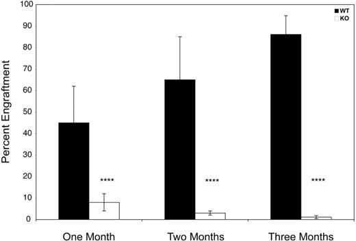 Figure 7. Competitive hematopoietic reconstitution with Zfp36l2 WT and KO fetal liver cells. A total of 5 × 105 donor-derived fetal liver cells (CD45.2+) from WT (n = 19) and KO (n = 23) E14.5 embryos were mixed with 5 × 105 adult bone marrow recipient–derived cells from B6.BoyJ (CD45.1+) mice and were injected into lethally irradiated B6.BoyJ (CD45.1+) mice. The percentage of donor CD45.2+ cells that engrafted, as determined by CD45.1/CD45.2 staining of peripheral blood, was examined at 1, 2, and 6 months after transplantation. Values are mean ± SD. Statistical significance was determined using the Student t test: ****P < .001.