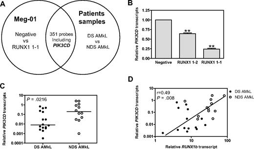 Figure 3. Overlapping genes between the oligonucleotide microarray dataset derived from Meg-01 shRNA stable clones and the Affymetrix microarray dataset derived from primary DS and non-DS AMkL patient blasts. (A) Differentially expressed genes identified by oligonucleotide microarray from Meg-01–negative and RUNX1 1-1 cells (left circle) were cross referenced, by comparing GenBank accession numbers, with genes differentially expressed between primary DS and non-DS AMkL patient specimens identified by Affymetrix microarray (right circle) in our previous study.27 A total of 351 probes (supplemental Table 7) were identified in both microarray datasets (overlapping area), including PIK3CD. (B) Transcript levels for PIK3CD were quantitated by real-time RT-PCR in the Meg-01 shRNA stable clones to validate the oligonucleotide microarray data. Real-time PCR results were expressed as mean values from 3 independent experiments with the same cDNA preparation and normalized to 18S rRNA. **Statistically significant differences (P < .005). Error bars indicate SEs. (C-D) PIK3CD transcript levels in primary DS and non-DS AMkL blasts were quantitated by real-time RT-PCR. Median PIK3CD transcript levels were compared between the 2 patient groups with the use of the nonparametric Mann-Whitney U test (C), and their relation to RUNX1b transcript levels was determined by the nonparametric Spearman rank correlation coefficient (D).