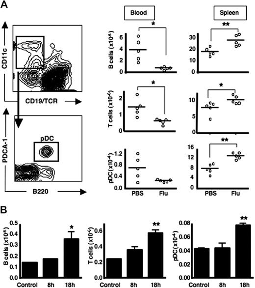 Figure 1. pDCs accumulate in secondary lymphoid tissues after infection with influenza virus via 2 different routes. (A) C57Bl/6 mice were either mock-infected (PBS) or infected with influenza virus intraperitoneally. After 18 hours, peripheral blood and spleens were harvested, stained, and analyzed by flow cytometry. A representative FACS plot for pDC gating is shown here derived from a spleen from a resting mouse. (B) C57BL/6 mice were either mock-infected or infected with influenza virus by intranasal instillation. After 8 or 18 hours, MLNs were analyzed by flow cytometry. Each group contained 5 mice, and the experiment was performed 3 times with similar results. Lymphocyte and pDC numbers in mediastinal nodes are shown here as the mean ± SEM of 5 animals. *P < .05; **P < .005