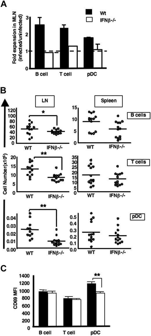 Figure 6. IFN-β influences pDC migration during inflammation and under homeostatic conditions. (A) C57Bl/6 mice or IFN-β−/− mice were either mock-infected (PBS) or infected with influenza virus intranasally. After 18 hours, MLNs were collected, and B cells, T cells, and pDCs were analyzed by flow cytometry. Numbers of lymphocytes or pDCs in the MLNs of influenza-infected mice were compared with the number in MLNs of uninfected mice to obtain a LN expansion ratio. The data are representative of 2 independent experiments. (B) IFN-β influences pDC migration under homeostatic conditions. LNs (left column) and spleens (right column) were harvested from WT C57BL/6 mice or IFN-β−/− mice and B cells, T cells. and pDCs in LNs and spleen of WT versus IFN-β−/− mice were assessed by flow cytometry. (C) CD69 levels on B cells, T cells, and pDCs from WT versus IFN-β−/− mice were evaluated by flow cytometry. Data are from 3 independent experiments. *P < .05, **P < .005.