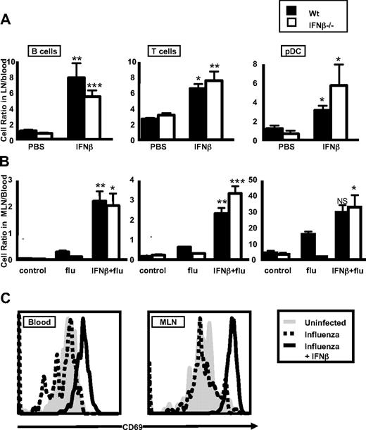Figure 7. Administration of recombinant IFN-β restores balance of pDCs and lymphocytes in the LNs of IFN-β−/− mice. Naive (A) and influenza-infected (B) WT C57Bl/6 mice or IFN-β−/− mice were treated with 105 U recombinant IFN-β by intraperitoneal injection. After 18 hours, blood and LNs were harvested, and ratios of lymphocyte or pDC numbers in LNs/blood were obtained by flow cytometry. A total of n = 5-7 mice per group per experiment was examined, and the experiment was performed twice. *P < .05, **P < .005, ***P < .0005. (C) CD69 levels on pDCs from IFN-β−/− mice were determined 18 hours after influenza infection, with and without the addition of recombinant IFN-β. A representative example of CD69 staining on pDC is shown from a total of 5 mice. Shaded histogram indicates pDCs from uninfected mice. Broken line histogram, pDCs from influenza infected mice. Solid line histogram, pDCs from influenza-infected mice treated with recombinant IFN-β.