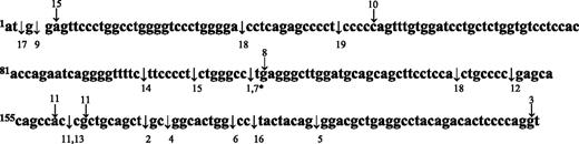 Figure 1. Schematic of GATA1/exon 2 mutations in DS AMkL and TMD patients. Sites of GATA1/exon 2 mutations in DS AMkL and TMD patients are shown. DNA sequence for exon 2 is shown in 3 lines of nucleotide sequence, with nucleotide 1 as the first translated nucleotide of GATA1. Ins/del/dup sites are indicated below the line of the target sequence and identified by patient number. indicating sites of deletion are inserted immediately 5′ to the deleted base. above the line of sequence indicate sites of base substitution and are identified by patient number. More complete information is provided in Table 1. *Identical mutation observed in one person presenting first with TMD (#1) and subsequently with AMkL (#7).