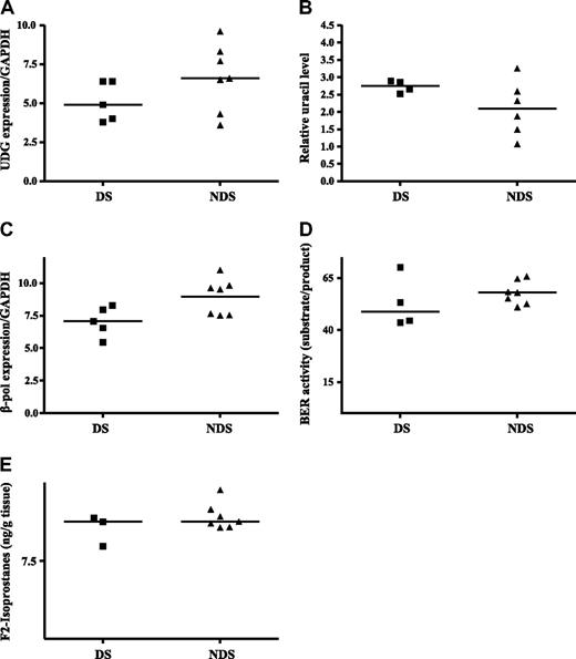 Figure 3. Altered BER and increased oxidative stress in DS fetal liver. (A) UDG expression. RNA was isolated and reverse transcribed from DS and non-DS (NDS) fetal liver tissues as described in “Fetal liver tissue.” Median gene expression levels were determined by quantitative real-time RT-PCR and normalized to GAPDH expression. (B) Uracil accumulation in DNA. DNA was isolated from DS and non-DS fetal tissue and analyzed for uracil incorporation as described in “Uracil detection.” Relative uracil levels were determined and median values are presented. (C) DNA polymerase β expression. RNA was isolated and reverse transcribed from DS and non-DS fetal liver tissue as described in “Base excision repair activity.” Median gene expression levels were determined by quantitative real-time RT-PCR and normalized to GAPDH expression. (D) Base excision repair activity. Nuclear proteins were isolated, and BER capacity was determined as described in “Methods.” BER capacity is calculated as the percentage of probe repaired (16-mer/30-mer), and median values are presented. (E) F2 isoprostane detection. F2 isoprostanes were measured by gas chromatography–mass spectrometry in fetal liver tissues as described in “Fetal liver tissue.” Median values are presented.