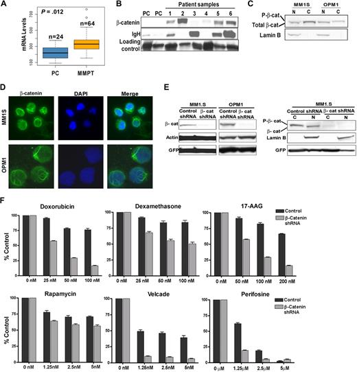 Figure 1. β-catenin is aberrantly expressed in MM, and its down-regulation by the use of shRNA knockdown increases sensitivity to chemotherapeutic agents. (A) Affymetrix analysis of β-catenin mRNA expression in normal plasma cells (PC) and multiple myeloma primary tumors (MMPT). (B) Immunoblot of β-catenin protein in PC and MMPT (1-6) cells. Immunoglobulin heavy chain (IgH) and a nonspecific protein were used as loading markers. (C) Nuclear (N) and cytoplasmic (C) protein fractions of MM1.S and OPM1 cells. Lamin B was used as nuclear fraction loading control. (D) Immunofluorescent staining of total β-catenin (green) in MM1.S (60×) and OPM1 (100×) cells. DAPI is shown in blue. (E) Immunoblot of β-catenin knockdown by stable lentiviral shRNA transduction in MM1.S and OPM1 cells. GFP was used as a whole-cell lysate transduction efficiency marker, whereas Actin and Lamin B were used as whole-cell lysate loading and nuclear fraction loading controls markers, respectively. Note reduced β-catenin levels in both cytoplasmic (C) and nuclear fractions (N). (F) MM1.S control or β-catenin shRNA cells were cocultured with BM stromal cells and treated with different drugs followed by MTT assays to measure metabolism.
