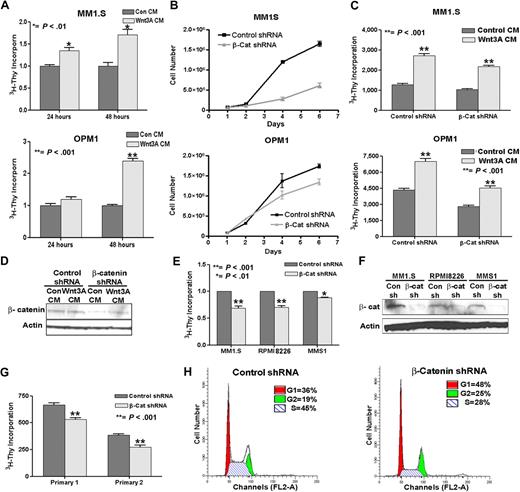 Figure 2. β-catenin directly affects proliferation and cell cycle in MM. (A) Wnt3A stimulation of MM1.S (top) and OPM1 (bottom) cells increases proliferation. Cells were treated with control (Con CM) or Wnt3A-conditioned medium (Wnt3A CM) for 24 or 48 hours and assayed for 3H-thymidine incorporation. (B) β-catenin (β-Cat shRNA) knockdown decreased proliferation of OPM1 and MM1.S cells. (C) Partial rescue in proliferation of OPM1 or MM1.S β-catenin shRNA (β-Cat shRNA) cells after 24 hours treatment with Wnt3A CM. In panels B and C, cells had been stably transduced and sorted for GFP-positive cells within 4 days after infection, followed by a growth curve (B) or treatment with control or Wnt3A CM for 24 hours, followed by 3H-Thy proliferation assay (C). The difference in proliferation starts out modestly but is more apparent over a period of 6 days, as is shown in panel B, whereas in panel C the experiment was performed with the use of cells technically at the day 2 time point of panel B. (D) A representative immunoblot shows a slight-but-consistent increase in β-catenin after 24-hour Wnt3A CM treatment in β-catenin shRNA OPM1 cells. (E) β-catenin (β-Cat shRNA) knockdown inhibits proliferation in MM1.S, RPM18226, and MMS1 cells. (F) Immunoblot analysis confirms the reduction of β-catenin in the different MM cells stably transduced with β-catenin shRNA (β-cat). Proliferation assays were performed in triplicate and repeated at least twice. The average and SEM of 2 to 3 experiments are shown. (G) Primary MM patient samples with β-catenin knockdown (β-Cat shRNA) also show decreased proliferation. Proliferation assays were performed in triplicate. The error bars and statistical significance were calculated from the triplicate dataset. (H) Increase in G1 and G2/M cell-cycle phases and decrease in S phase in β-catenin shRNA MM1.S cells compared with control cells. The FACS data represent the average of triplicate analyses repeated twice.