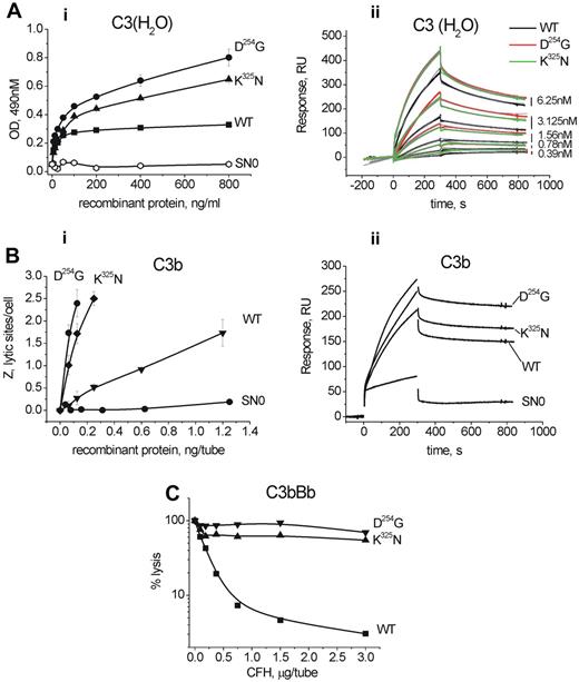 Figure 3. Interaction of the WT and mutant factor B proteins with factor B natural ligands—C3 and C3b. (A) ELISA (Ai) or SPR (Aii) assay with C3 coated to the plate or to the biosensor chip, respectively. In panel Aii, the kinetic fit for each sensorogram was given in gray. (B) Hemolytic assay (Bi) or SPR analysis (Bii) with C3b-coated erythrocytes or C3b-coated biosensor chip, respectively. Native C3b was generated on the 2 surfaces by C3 convertase. Erythrocytes lysis was induced only in the presence of C3b, factor D, and recombinant WT or mutant BF together. Removing one component from the system abrogated the lysis (data not shown). (C) Hemolytic test for the dissociation of the C3 convertase (C3bBb), formed by the WT or mutant factor B on the surface of the erythrocytes. The results are presented as percentage of the lysis, obtained in absence of plasma (Z∼2), that is, only spontaneous dissociation of the formed C3 convertase. Supernatant from cells transfected with the vector only was used as a control (SN0) for all experiments. For the SPR and the hemolytic tests, 1 representative experiment of 3 to 5 performed is given. For the ELISA average ± SD, n = 3.
