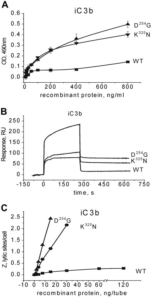 Figure 4. Interaction of the WT and mutant factor B proteins with the novel ligand iC3b. (A) ELISA assay with iC3b-coated plates (average ± SD, n = 3). (B) SPR measurement of factor B proteins binding to iC3b coupled to CM5 chip. (C) Hemolytic assay for the C3-convertase forming capacity of WT and mutant factor B proteins on iC3b-coated erythrocytes. One representative experiment of 3 performed is given.