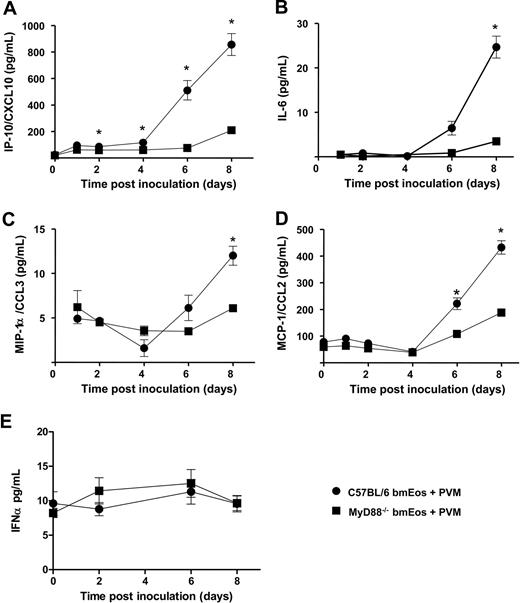 Figure 3. Cytokine release is MyD88-dependent. Differential release of (A) IP-10/CXCL10, (B) IL-6, (C) MIP-1α/CCL3, (D) MCP-1/CCL2, and (E) IFNα from PVM-infected wild-type (●) and MyD88−/− (■) mouse bmEos cultures. (A-D) Data were determined by multiplex bead assay, n = 3; *P < .05. (E) Data were results from enzyme-linked immunoabsorbent assay, n = 4. Data shown represent mean ± SEM.