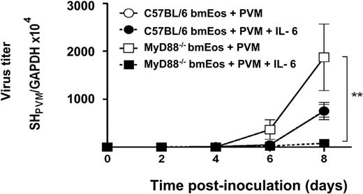 Figure 4. Recombinant IL-6 suppresses virus replication MyD88−/− bmEos. Cells were infected at MOI of 1 and resuspended in media with or without IL-6 (20 ng/mL). At time points indicated, RNA was isolated from the cells, and RT-PCR was performed to determine absolute virus copy number. Experimental conditions are as indicated, points for the wild-type C57BL/6 with and without IL-6 are superimposed over one another; n = 3 mice per experimental condition, *P < .01. Data shown represent mean ± SEM.