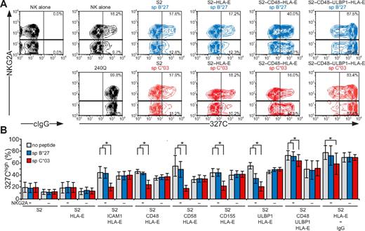 Figure 6. Inside-out signals on resting NK cells are inhibited by CD94/NKG2A engagement. Resting, NKG2C-depleted NK cells were mixed with target cells as indicated. Where indicated, S2 cells were preincubated with a rabbit anti-S2 serum (+ IgG). Cells were incubated for 5 minutes at 37°C, stained with conformation-specific, biotinylated anti–LFA-1 mAb 327C, washed, and then stained with fluorochrome-conjugated anti-CD56, anti-NKG2A, and streptavidin. (A) NK cells were gated on forward scatter/side scatter plots and CD56dim expression. Where indicated, S2 cells were preincubated with peptides sp B*27 (blue) or sp C*03 (red). The profiles show NKG2A versus 327C mAb staining on CD56dim NK cells. Numbers indicate the percentage of 327Chigh CD56dim NK cells within the respective gates. (B) The percentage of 327Chigh CD56dim NK cells is presented as the mean of 4 donors. Bars indicate SD. *P < .05. Experiments are representative of at least 3 independent experiments.
