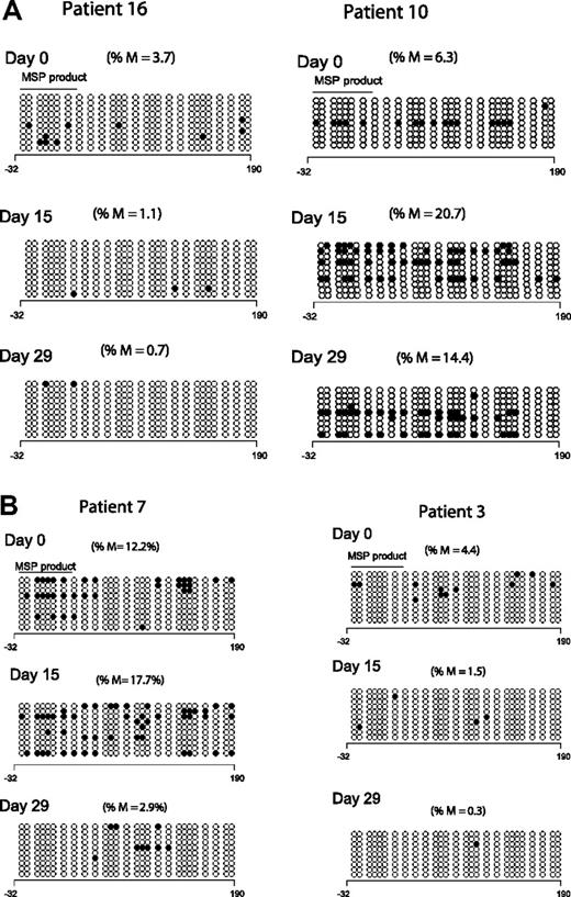 Figure 2. Clinical response is not uniformly associated with p15INK4B methylation reversal. (A) Methylation reversal in clinical responders. DNA BSS of 27 CpG sites in the promoter region of p15INK4B in 2 clinical responders (patients 10 and 16). Patient 16 showed reversal of methylation at days 15 and 29 (left panel), whereas patient 10 (right panel) did not show methylation reversal by BSS. (B) Reversal of methylation of p15INK4B in clinical nonresponders. DNA BSS of 27 CpG sites in the promoter region of p15INK4B on days 0, 15, and 29 of therapy showed methylation reversal in both clinical responder and nonresponder (patients 7 and 3, respectively). Patient 7 showed methylation reversal at day 29 only. ∘ indicates unmethylated CpGs and • indicates methylated CpGs. The solid line labeled MSP product marks the start and end position of the CG sites of the MSP amplicon. The numbers below the horizontal bar describe the position of the CpGs relative to the transcription start site (+1). %M indicates percentage methylation calculated by dividing the number of • by the number of ∘ (270) and multiplied by 100.