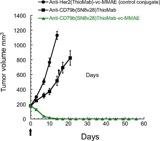 Figure 1. In vivo efficacy of anti–CD79b-vcMMAE in a BJAB xenograft model of lymphoma with a starting tumor volume of approximately 200 mm3. Ten mice per group were treated with 2 mg ADC/kg mouse of antibody as indicated.