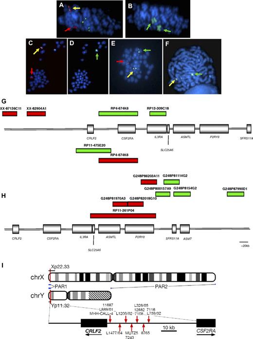 Figure 1. Involvement of IGH@ and CRLF2. The same metaphases from a patient with t(X;14) (A-B) and one with t(Y;14) (C-D) showing a positive result with the IGH@ probe: normal chromosome 14 (yellow arrows), derived chromosome 14 (der(14); red arrows; panels A,C); involvement of the X chromosomes (wcpX; green arrows on der(X)x2; panel B), involvement of Y chromosome (wcpY; green arrow; panel D). Representative metaphase hybridized with CRLF2 probe 1 showing the translocation (E) normal X (yellow arrow), der(14) (red arrow), der(X) (green arrow). Representative metaphase hybridized with the probe to P2RY8 showing the deletion (F): normal X (yellow arrow), X with deletion of red signal covering 3′ P2RY8 (green arrow). Magnification, ∼ × 1000. FISH probe designs for break-apart probes to CRLF2, probes 1 and 2 (G), and P2RY8 (H). (G) The red and green boxes above the schematic representation of PAR1 show the clones (Wellcome Trust Sanger Institute) used in the design of CRLF2 probe 1 (clone names given above each bar). The red and green boxes below the schematic indicate the clones (Invitrogen) used in the design of CRLF2 probe 2. (H) FISH probe design for P2RY8. Fosmid and BAC clone names are given above each bar. (I) Idiograms of X and Y chromosome showing the location of the PAR1 region. Breakpoint locations cloned by LDI-PCR from IGHJ segments are marked with red arrows.