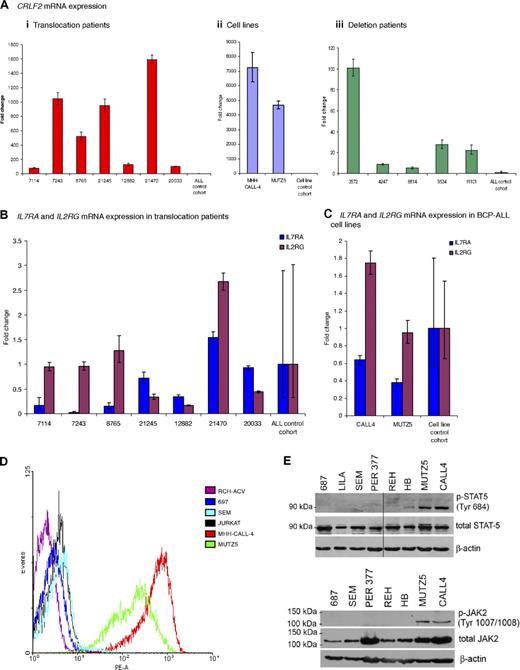Figure 2. CRLF2, IL7RA, and IL2RG mRNA expression and activation of the JAK-STAT pathway. (A) Fold change of mRNA expression measured by the comparative Ct method of CRLF2 in (i) translocation patient samples (n = 7) compared with control patient cohort (n = 17) without the translocation or deletion (ii). Cell lines (n = 2) with the translocation compared with cell line control cohort (n = 12): RCH-ACV, REH, Per365, 697, 380, Tanoue, LILA-1, SEM, LK63 (BCP-ALL) RAJI, DHL4 (B-cell lymphoma), and HL-60 (acute myeloid leukemia) without the translocation or deletion and (iii) deletion patient samples (n = 5) compared with the same patient control cohort (n = 17). IL7RA and IL2RG mRNA expression measured in (B) 7 patients with the translocation compared with the patient control cohort (C) the cell lines (n = 2) compared with a cell line control cohort. The error bars for the control cohorts indicate the variable expression of all target genes tested. (D) Flow cytometry histogram of control cell lines (RCH-ACV; 697; SEM; JURKAT) and translocation positive cell lines (MHH-CALL-4 and MUTZ5) using a PE-labeled antibody to CRLF2. (E) Western blot showing presence of phosphorylated STAT5 and JAK2 observed in translocation-positive cell lines, MHH-CALL-4 and MUTZ5, compared with other cell lines.