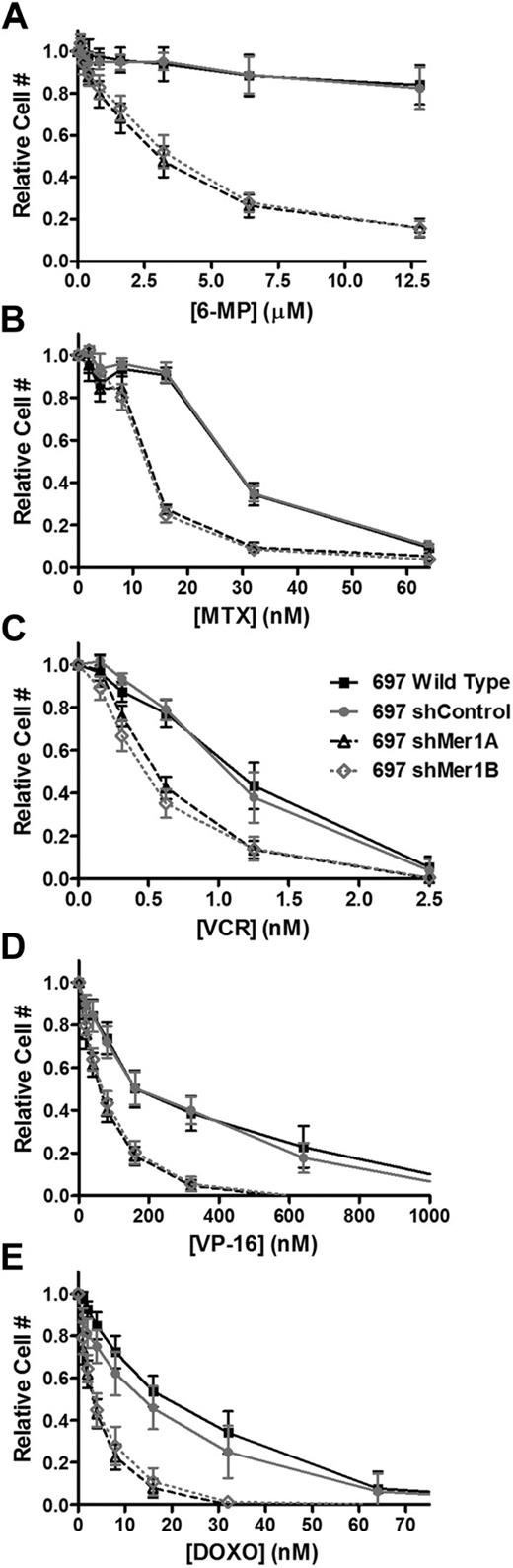 Figure 4. Inhibition of Mer expression results in increased chemosensitivity in 697 cells. Wild-type, shControl, and Mer knockdown (shMer1A, shMer1B) 697 cells were treated with the indicated concentrations of 6-mercaptopurine (6-MP), methotrexate (MTX), vincristine (VCR), etoposide (VP-16), or doxorubicin (DOXO) for 48 hours, and relative cell numbers were determined. Mean values and standard errors from at least 3 independent experiments performed in triplicate are shown. IC50 values were determined by nonlinear regression of data from at least 3 independent experiments performed in triplicate (see Table 1).