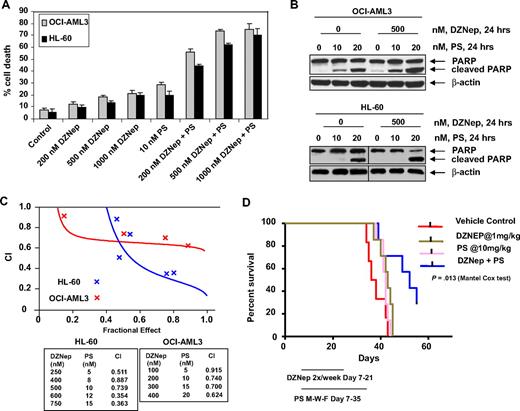 Figure 4. Cotreatment with PS and DZNep synergistically induces apoptosis of cultured AML cells and significantly prolongs survival of mice implanted with AML cells. (A) OCI-AML3 and HL-60 cells were treated with DZNep and/or PS as indicated for 48 hours. At the conclusion of treatment, cell death was assessed by trypan blue dye uptake in a hemocytometer. Columns represent the mean of 3 independent experiments; bars represent SEM. (B) OCI-AML3 and HL-60 cells were treated with the indicated concentrations of DZNep and/or PS for 24 hours. Cell lysates were prepared and immunoblot analysis was performed for PARP cleavage. The levels of β-actin in the lysates served as the loading control. Vertical lines have been inserted to indicate a repositioned gel lane. (C) Analysis of dose-effect relationship for DZNep (100-750 nmol/L) and PS (5-20 nmol/L) for the apoptotic effects after 48 hours of exposure in OCI-AML3 and HL-60 cells was performed according to the median dose-effect method of Chou and Talalay. After this, the CI values were calculated. CI < 1, CI = 1, and CI > 1 represent synergism, additivity, and antagonism of the 2 agents, respectively. (D) Female NOD/SCID mice were injected in the lateral tail vein with HL-60 cells. The cells were allowed to engraft for 7 days before initiation of treatment. Mice were treated intraperitoneally with dimethylsulfoxide, 1 mg/kg DZNep 2 days per week for 2 weeks, and/or 10 mg/kg PS 3 days per week for 4 weeks. n = 7 per group. Survival of the mice in all groups (vehicle, DZNep alone, PS alone, and combination) is represented by Kaplan-Meier plot.