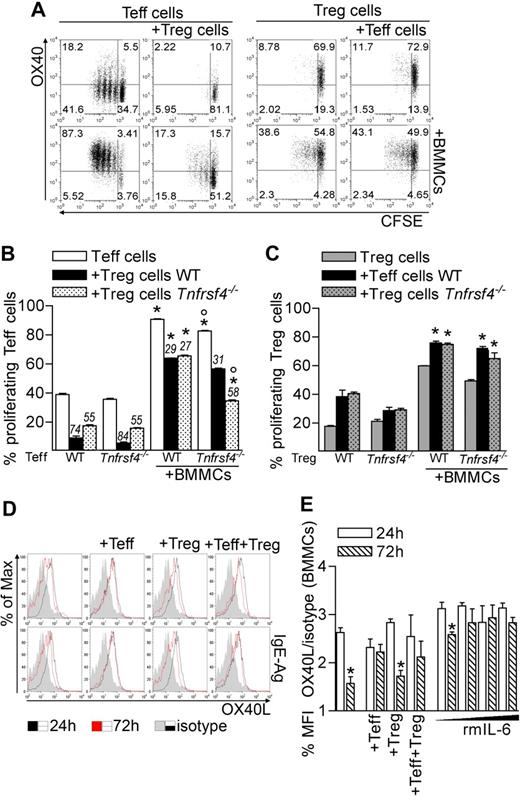 Figure 3. OX40/OX40L axis plays a role in BMMC functions. (A) OX40 expression and CFSE dilution in gated CD45.2 Teffs and CD45.1 Tregs after 72 hours of coculture with BMMCs. (B-C) Proliferation of Teffs (B) and Tregs (C) obtained from WT or Tnfrsf4−/− mice, alternatively labeled with CFSE, and seeded in different combinations, in the presence or not of BMMCs. Numbers above bars indicate percentage inhibition of Tregs. *P < .05, compared with the corresponding condition in the absence of BMMCs. °P < .05, compared with the corresponding condition in the presence of WT T cells. (D-E) OX40L expression in BMMCs after 24 or 72 hours of culture alone or in the presence of Teffs, Tregs, or both. When indicated, BMMCs received scaled amounts of recombinant IL-6 (rmIL-6, 1, 5, 20, and 50 ng/mL). (E) Mean fluorescence intensity of OX40L staining (relative to isotype staining) in BMMCs. *P < .05, compared with the same condition at 24 hours. Data are from 1 representative of 2 independent experiments.