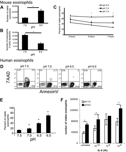 Figure 1. Eosinophils have decreased early apoptosis and increased viability in acidic pH. Murine (A-C) and human eosinophils (D-F) were incubated in media buffered to various pH. Viability analysis shows that incubation of murine eosinophils in acidic media for 4 hours affects number of viable eosinophils (A) and number of early apoptotic murine eosinophils (B). Viability analysis of murine eosinophils over a 7-hour time course shows that incubation of murine eosinophils in acidic media affects percentage of viable eosinophils (C). Representative flow cytometric analysis of human eosinophils incubated at various pH for 24 hours (D) with quantification showing average percentage of viable eosinophils with SD (E). Human eosinophils were incubated in media buffered to pH 7.5 and 6.0 in the presence of indicated doses of IL-5 for 18 hours (F). Results show the average ± SD of triplicate incubations. *P < .05. Representative experiment (of > 11 and 3) is shown for murine and human eosinophils, respectively.