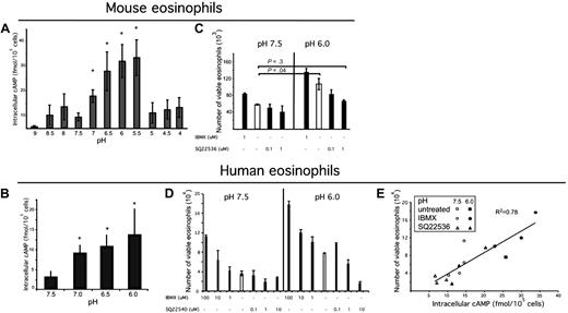 Figure 2. Acidic pH increases intracellular cAMP, which is a critical signaling molecule in eosinophil viability. Eosinophils were isolated from mouse spleen or human peripheral blood; eosinophils were incubated in media of over a pH range (A-B) for 30 minutes in the presence of IBMX, and accumulated intracellular cAMP was measured via an ELISA from eosinophil lysates. n = 3 mice per group. Results shown as the mean intracellular cAMP ± SD. Representative experiments (of 3) are shown. Murine eosinophils were incubated in IBMX (a phosphodiesterase inhibitor) or an adenylate cyclase inhibitor (C) for 4 hours. Human eosinophils were exposed to various concentrations of adenylate cyclase inhibitor SQ22536 and IBMX at pH 7.5 and pH 6.0 for 24 hours. Human eosinophil viability was assessed (D), and intracellular cAMP was measured from the lysates of a sample of each well (taken at 10-minute time point); (E) demonstrates human eosinophil viability as a function of intracellular cAMP. Viability analysis was performed using annexin V and 7AAD. Results show the average ± SD (of triplicate incubations). *P < .05.