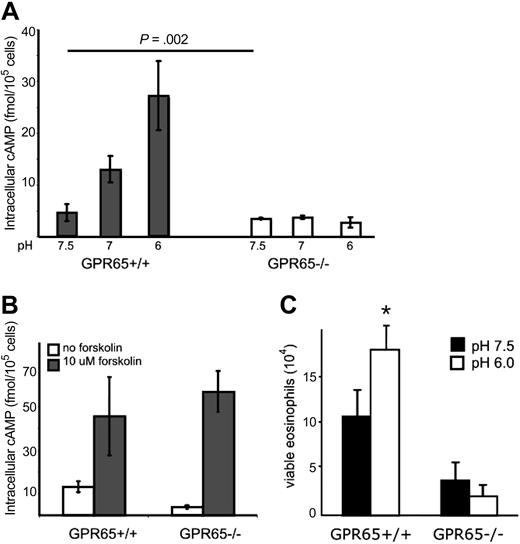 Figure 5. GPR65 regulates eosinophil cAMP production and viability. Eosinophils were isolated from the spleens of GPR65+/+ or GPR65−/− mice; eosinophils were incubated in media of various acidity (A) or forskolin at pH 7.0 (B) for 30 minutes in the presence of IBMX, and accumulated intracellular cAMP was measured via an ELISA from eosinophil lysates. n = 3 mice per group. Results shown as the mean intracellular cAMP ± SD. Representative experiments (of 3) are shown. Viability analysis of GPR65+/+ and GPR65−/− eosinophils after a 5-hour ex vivo incubation at pH 7.5 and 6.0 (C). Results are representative of 3 time-course and 8 5-hour incubation experiments. Results are shown as the mean ± SD of triplicate incubations.