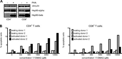 Figure 1. The Hsp90 chaperone is up-regulated upon T-lymphocyte activation and necessary for survival of activated cells. (A) Western blot analysis showing Hsp90α and β protein levels of resting and PHA-activated CD4+ and CD8+ T lymphocytes with vinculin as loading control. (B) Diagrammatic representation of the proportion of apoptotic cells in resting and activated CD4+ and CD8+ T-cell cultures of 2 donors treated with increasing concentrations of the Hsp90 inhibitor 17-DMAG.