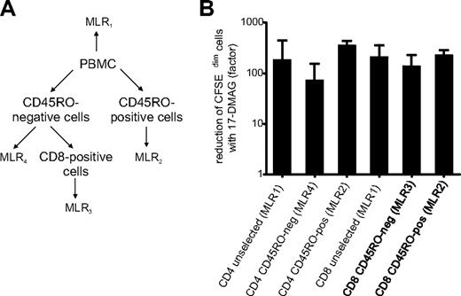 Figure 4. Hsp90 inhibitor treatment reduces the proliferative fraction in CD45RO-positive memory as well as CD45RO-negative naive CD4+ and CD8+ T cells. (A) Separation of CD45RO-positive and CD45RO-negative T cells and setup of 4 separate MLRs. (B) Reduction of CFSEdim proliferating cells of the MLRs shown in panel A by Hsp90 inhibitor treatment.