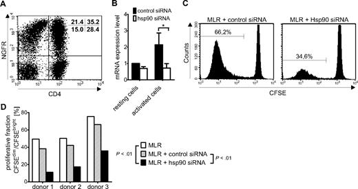 Figure 5. Hsp90 knockdown by siRNA reduces proliferation in mixed lymphocyte reactions. (A) Flow cytometric analysis of CD3+ T cells electroporated with NGFR-specific mRNA to estimate transfection efficiency in primary human lymphocytes. Transfection efficiency was 59% for CD8+ cells and 55% for CD4+ cells. (B) Genetic knockdown of Hsp90β mRNA with siRNA in resting or activated CD3+ T cells, as determined by real-time PCR. (C) CFSE dilution after 4 days in MLRs of PBMC electroporated either with control siRNA or Hsp90β-specific siRNA. (D) Summary of depletion efficacy in 3 experiments: proliferative fraction of MLRs transfected with control siRNA or Hsp90-specific siRNA. Displayed P values were obtained using a 2-tailed paired t test.
