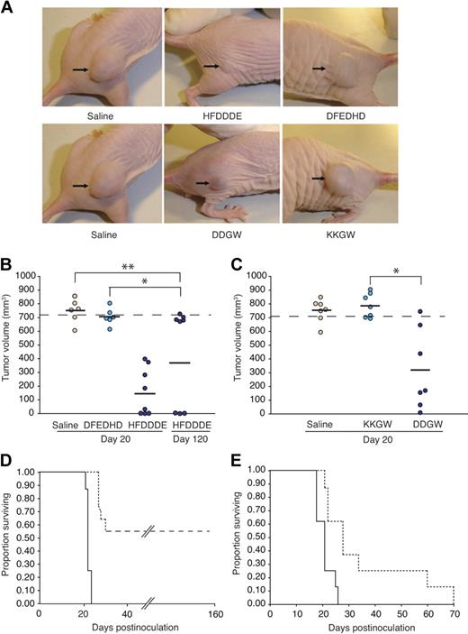 Figure 2. Antileukemia activity of invadosome-targeting peptides in OCI-AML3 xenografts. (A) Shown are representatives of peptide-treated leukemia-bearing mice 20 days after OCI-AML-3 cell inoculation. (B and C) Tumor sizes of OCI-AML-3–derived xenografts. Bars represent means from each peptide group. *Student t test, P < .001 of either HFDDDE- or DDGW-treated mice compared with control mice. No significant differences were detected between DFEDHD vs the saline group (t test, P = .107) or KKGW vs the saline group (t test, P = .65). Mice were killed when leukemia-derived xenograft volume reached 700 mm3 as indicated. (D-E) Kaplan-Meier actuarial survival analysis of the cohorts is shown. Differences were statistically significant at P < .001 and P = .004 for HFDDDE-treated group (D, dashed line) and DDGW-treated group (E, dashed line), respectively, compared with control DFEDHD-treated mice (D, solid line) or KKGW peptide-treated group (E, solid line).