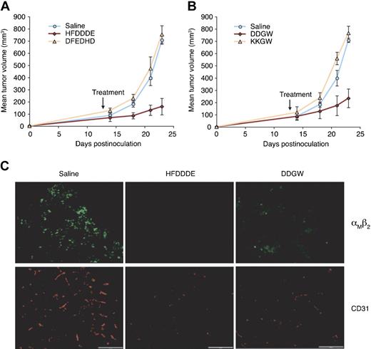 Figure 3. Invadosome-targeting peptides reduce THP-1 xenograft growth and host cell infiltration. In THP-1–derived xenograft differences were statistically significant at P < .001 and P = .004 for HFDDDE- (A) or DDGW-treated groups (B), respectively, compared with vehicle-treated group. (C) Staining of tumor-infiltrating leukocytes with an αMβ2 integrin antibody (top panel) and tumor vasculature with an anti-CD31 monoclonal antibody (bottom panel). Representative tissue sections are shown from mice treated with saline, HFDDDE, or DDGW. Scale bar, 200 μm.