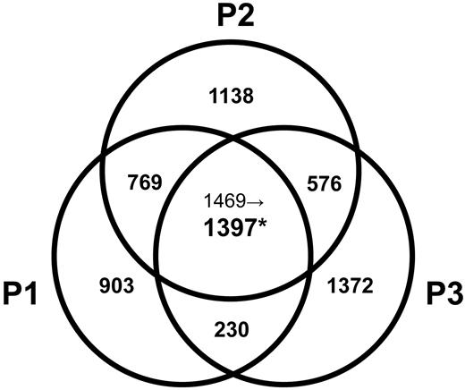 Figure 1. Venn diagram of altered gene probe sets in the L-HES patients (P1-P3) vs controls. Significant changes in the expression of gene probe sets were based on a P < .05 after Z transformation of the mean S-score values obtained from all possible 2-chip comparisons between triplicates of P1-yr 0 or duplicates of P2-yr 0 and P3-yr 0 and individual arrays from 4 controls (supplemental data). The number of altered probe sets is shown, and the individual genes are listed in supplemental Table 2. *Among the 1469 commonly changed probe sets detected in the comparison of P1 to P3 vs controls, only 1397 probe sets passed a further filter that was applied to probe sets with a P > .01 and/or with fold change < 2 for at least 1 patient.