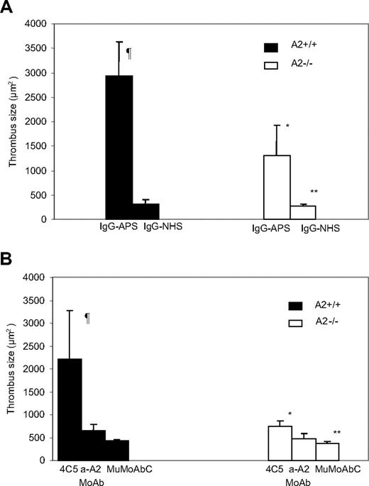 Figure 4. Effect of aPL Abs on thrombus formation in A2−/− mice. A2−/− or A2+/+ mice were treated with either IgG-APS, IgG-NHS (A), 4C5, anti-A2 MoAb, or MuMoAbC as control (B), as indicated in “Analysis of thrombus dynamics.” Thrombi were induced in the animals, and thrombus size was measured in square microns (μm2). The data are expressed as means ± SD (5-10 animals were used per group). ¶Statistically different from A2+/+ mice treated with IgG-NHS (A; P = .001) or MuMoAbC (B; P = .002). *Statistically different from A2+/+ mice treated with IgG-APS (A; P = .002) or 4C5 (B; P = .005). **Statistically different from A2−/− mice treated with IgG-APS (A; P = .001) or 4C5 (B; P = .009).
