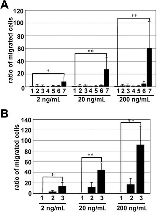 Figure 1. Chemotactic activity of pML cells in response to various chemokines. (A) Chemotactic activity of pML cells in response to chemokines SDF-1α, MIP-3α, TARC, SLC, RANTES, and CTACK. Migration efficiency of pML cells was estimated using a Transwell assay in the presence of various concentrations (2, 20, and 200 ng/mL) of chemokines. The number of migrating pML cells was counted using a hemocytometer viewed under a microscope. The results are expressed as the fold number of the untreated control pML cells. The number below each bar corresponds to each chemokine: 1, control; 2, TARC; 3, LARC; 4, RANTES; 5, CTACK; 6, SLC; and 7, SDF-1α. These results were confirmed by 3 independent experiments. The data are presented as mean values ± SD. *P < .05. **P < .01. (B) Chemotactic activity of pML cells and normal T cells. The number of migrating cells was measured as described for panel B in the presence of 0, 2, 20, and 200 ng/mL SDF-1α. The results are expressed as the fold number of the normal T cells. These results were confirmed by 3 independent experiments. The data are presented as mean values ± SD. *P < .05; **P < .01.