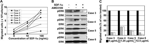 Figure 3. Chemotaxis of human ATL cells in response to SDF-1α. (A) The migration assay of human ATL cells freshly prepared from frozen stocks of ATL patient's peripheral blood mononuclear cells and cultured for 2 days. Human ATL cells were also examined for chemotactic activity in response to SDF-1α, using recombinant human SDF-1α. After incubation with SDF-1α for 2.5 hours, the number of the cells migrating to the lower chamber was counted using a hemocytometer. (B) Phosphorylation of ERK1/2 after stimulation with SDF-1α (100 ng/mL for 5 minutes) in human ATL cells with or without AMD3100 pretreatment (25 μg/mL for 1 hour). (C) The inhibitory effect of AMD3100 on the migration of human ATL cells. Human ATL cells were preincubated for 60 minutes with the indicated concentrations of AMD3100, and then applied to the migration assay in the presence of 100 ng/mL SDF-1α. The number of the migrating cells was counted, and represented in the bar graph as a relative ratio of migrated to nontreated cells.
