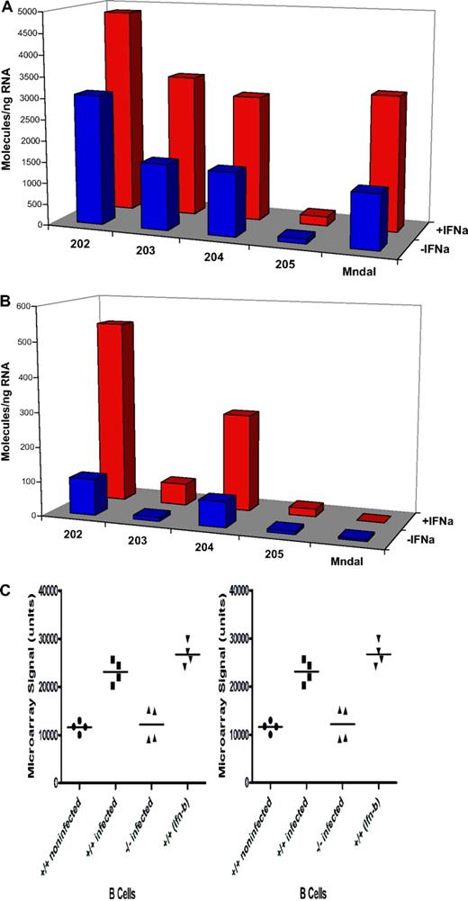 Figure 5. BALB3T3 and NIH3T3 cells were treated with interferon-α for 18 hours. Expression levels of Ifi202, Ifi203, Ifi204, Ifi205, and Mndal were determined by RT-PCR in the BALB3T3 (A) and NIH3T3 (B) cells. The Mndal gene was found to be absent by sequencing genomic DNA from NIH3T3 cells. (C) Microarray data (mined from the GEO database)21 collected from isolated B cells from mice that were either treated with type I interferon or infected with influenza. Mndal expression in B cells isolated from wild-type (+/+) mice that were either infected with influenza or treated with type I interferon-β (Ifn-β) were compared with control. Mndal expression was also examined in B cells isolated from interferon receptor knockout (−/−) mice that had also been infected with influenza.